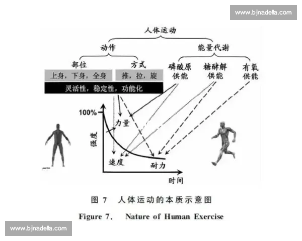 围绕训练周期优化提升运动表现与恢复效率的系统化实践路径探索 围绕训练周期优化提升运动表现与恢复效率的系统化实践路径探索